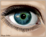 Eye.png